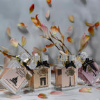 Women's Perfume Collection PARIS MON AMOUR 4*50 ml