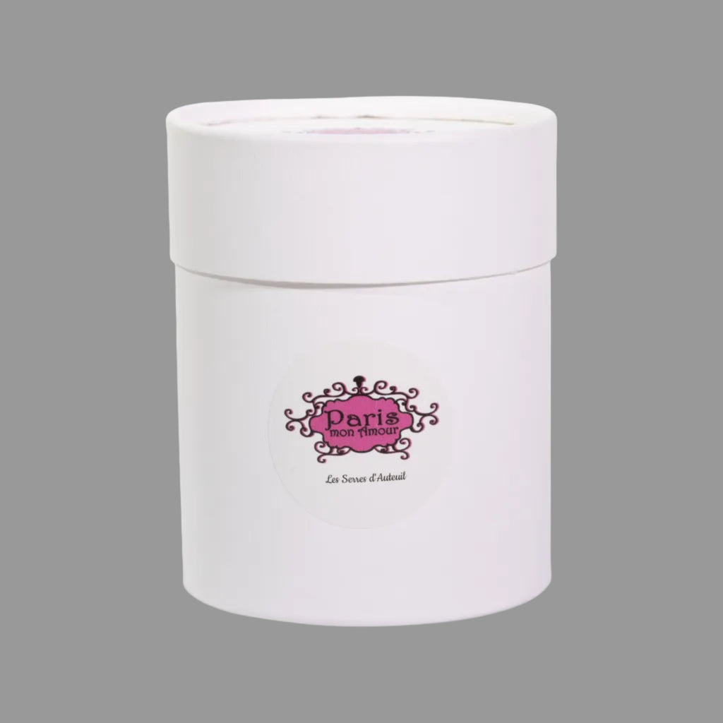 PARIS MON AMOUR Les Serres d'Auteuil Candle (lemon) 140 g