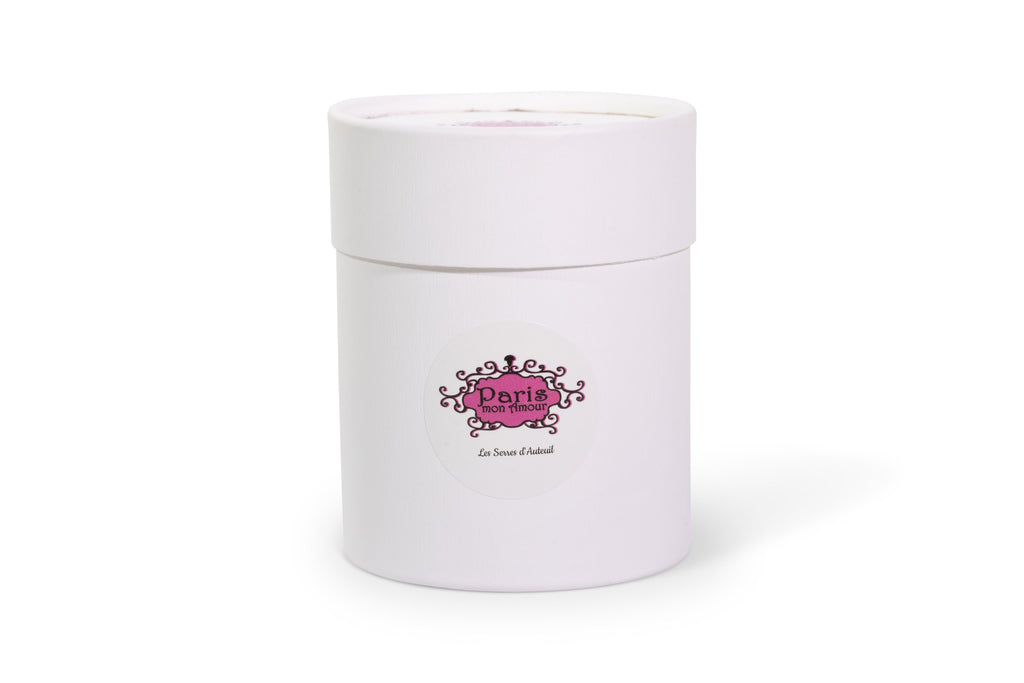 Candle Paris Mon Amour Les Serres d'Auteuil (lemon) 140g