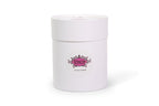 Candle Paris Mon Amour Les Serres d'Auteuil (lemon) 140g
